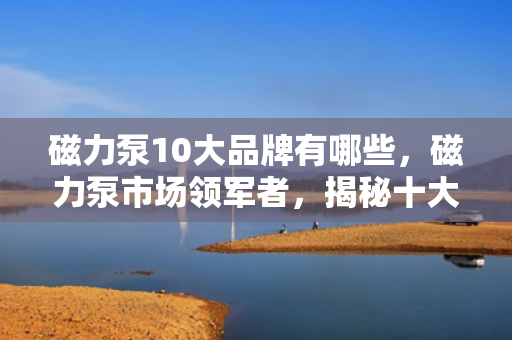 磁力泵10大品牌有哪些，磁力泵市场领军者，揭秘十大知名品牌