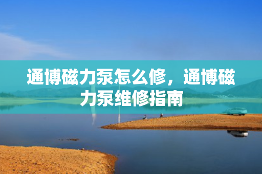 通博磁力泵怎么修，通博磁力泵维修指南