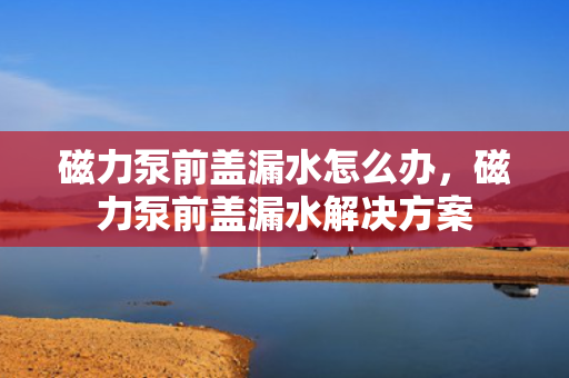 磁力泵前盖漏水怎么办，磁力泵前盖漏水解决方案