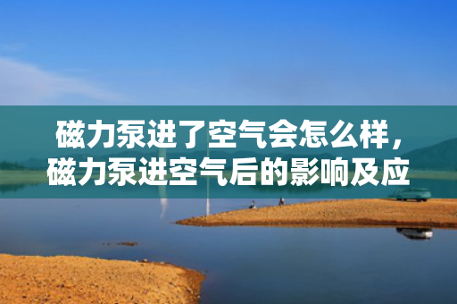 磁力泵进了空气会怎么样，磁力泵进空气后的影响及应对措施