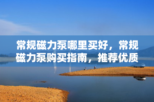 常规磁力泵哪里买好，常规磁力泵购买指南，推荐优质购买渠道