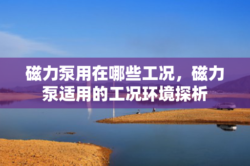 磁力泵用在哪些工况，磁力泵适用的工况环境探析