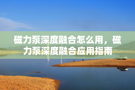 磁力泵深度融合怎么用，磁力泵深度融合应用指南