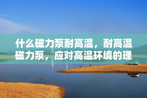什么磁力泵耐高温，耐高温磁力泵，应对高温环境的理想选择