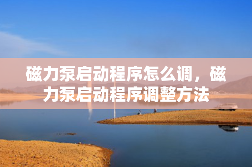 磁力泵启动程序怎么调，磁力泵启动程序调整方法