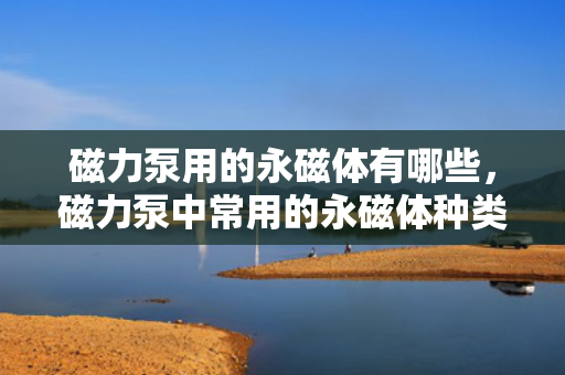 磁力泵用的永磁体有哪些，磁力泵中常用的永磁体种类介绍