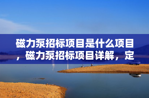 磁力泵招标项目是什么项目，磁力泵招标项目详解，定义、流程及关键要点