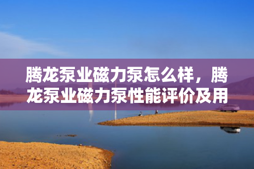 腾龙泵业磁力泵怎么样，腾龙泵业磁力泵性能评价及用户反馈
