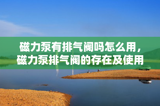 磁力泵有排气阀吗怎么用，磁力泵排气阀的存在及使用方法解析