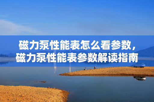 磁力泵性能表怎么看参数，磁力泵性能表参数解读指南