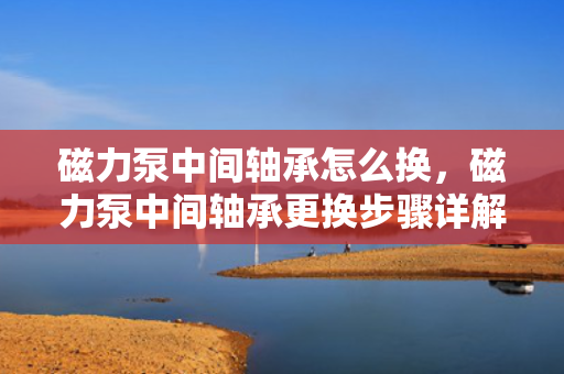 磁力泵中间轴承怎么换，磁力泵中间轴承更换步骤详解