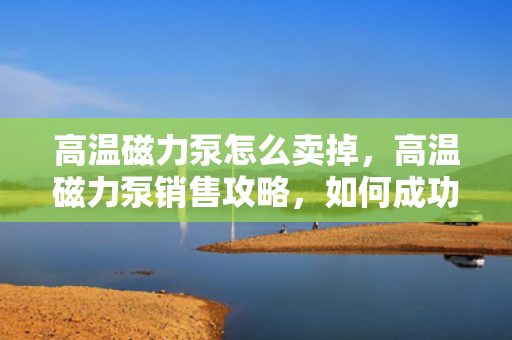 高温磁力泵怎么卖掉，高温磁力泵销售攻略，如何成功出售您的设备
