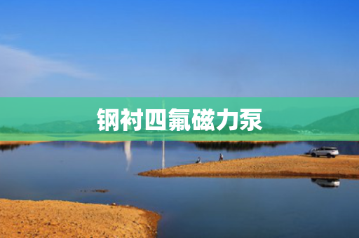 钢衬四氟磁力泵