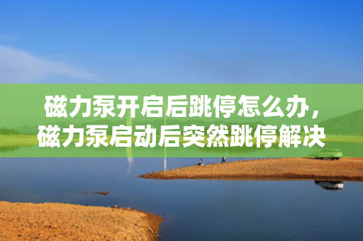 磁力泵开启后跳停怎么办，磁力泵启动后突然跳停解决方法