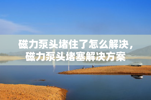 磁力泵头堵住了怎么解决，磁力泵头堵塞解决方案