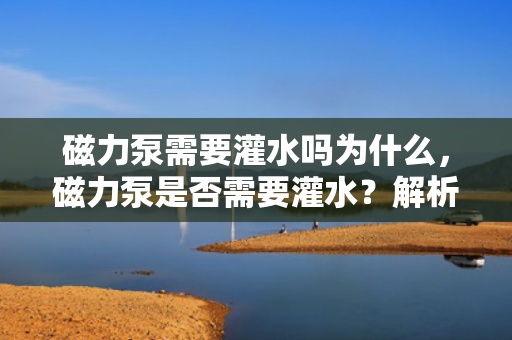 磁力泵需要灌水吗为什么，磁力泵是否需要灌水？解析磁力泵的工作原理及操作要求
