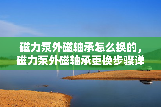 磁力泵外磁轴承怎么换的，磁力泵外磁轴承更换步骤详解