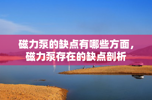 磁力泵的缺点有哪些方面，磁力泵存在的缺点剖析