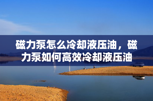 磁力泵怎么冷却液压油，磁力泵如何高效冷却液压油