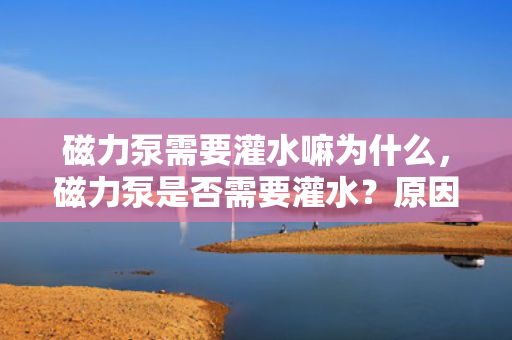 磁力泵需要灌水嘛为什么，磁力泵是否需要灌水？原因解析