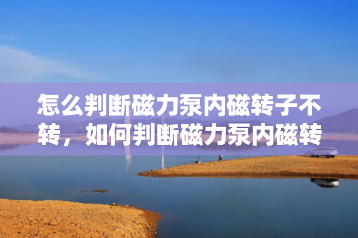怎么判断磁力泵内磁转子不转，如何判断磁力泵内磁转子是否停止转动