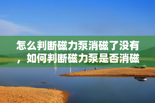怎么判断磁力泵消磁了没有，如何判断磁力泵是否消磁的方法指南