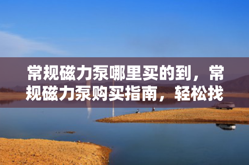 常规磁力泵哪里买的到，常规磁力泵购买指南，轻松找到购买渠道