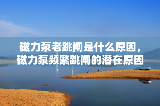 磁力泵老跳闸是什么原因，磁力泵频繁跳闸的潜在原因分析