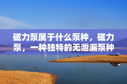 磁力泵属于什么泵种，磁力泵，一种独特的无泄漏泵种