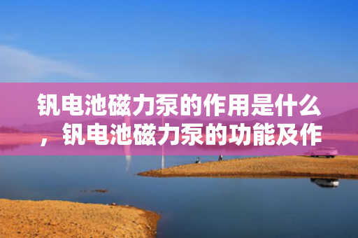 钒电池磁力泵的作用是什么，钒电池磁力泵的功能及作用解析