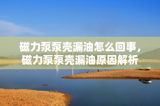 磁力泵泵壳漏油怎么回事，磁力泵泵壳漏油原因解析