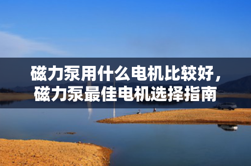 磁力泵用什么电机比较好，磁力泵最佳电机选择指南