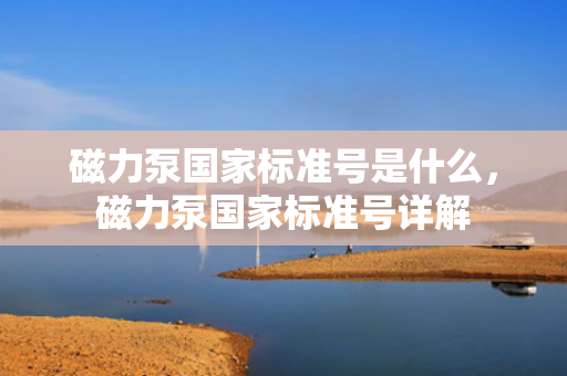 磁力泵国家标准号是什么，磁力泵国家标准号详解