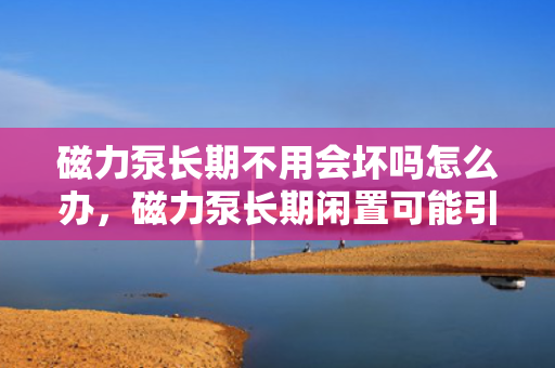 磁力泵长期不用会坏吗怎么办，磁力泵长期闲置可能引发的问题及应对措施