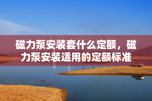 磁力泵安装套什么定额，磁力泵安装适用的定额标准