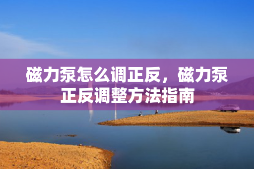 磁力泵怎么调正反，磁力泵正反调整方法指南