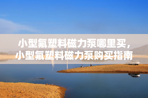 小型氟塑料磁力泵哪里买，小型氟塑料磁力泵购买指南，找到最优质的购买渠道