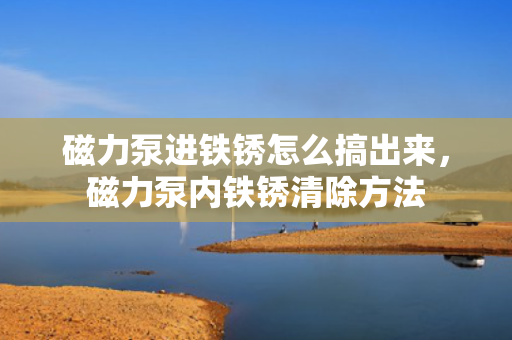 磁力泵进铁锈怎么搞出来，磁力泵内铁锈清除方法