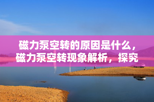 磁力泵空转的原因是什么，磁力泵空转现象解析，探究其原因及预防措施