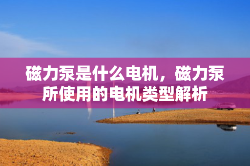 磁力泵是什么电机，磁力泵所使用的电机类型解析
