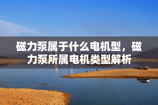 磁力泵属于什么电机型，磁力泵所属电机类型解析
