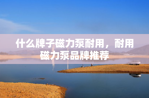 什么牌子磁力泵耐用，耐用磁力泵品牌推荐