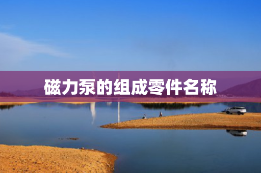 磁力泵的组成零件名称