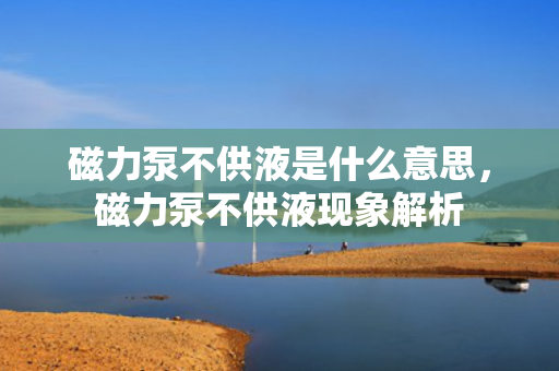 磁力泵不供液是什么意思，磁力泵不供液现象解析