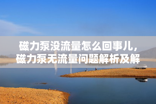 磁力泵没流量怎么回事儿，磁力泵无流量问题解析及解决方案