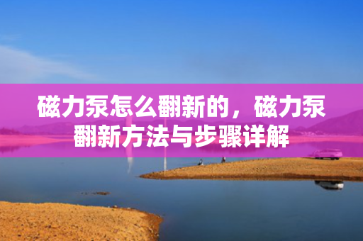 磁力泵怎么翻新的，磁力泵翻新方法与步骤详解