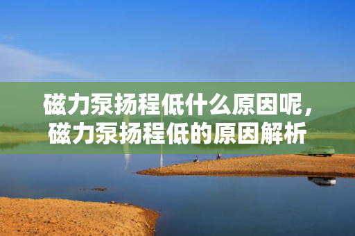 磁力泵扬程低什么原因呢，磁力泵扬程低的原因解析