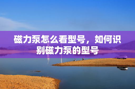 磁力泵怎么看型号，如何识别磁力泵的型号