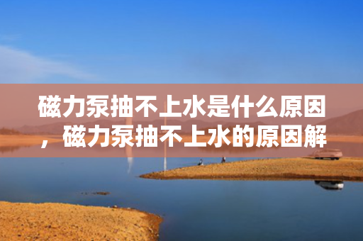 磁力泵抽不上水是什么原因，磁力泵抽不上水的原因解析