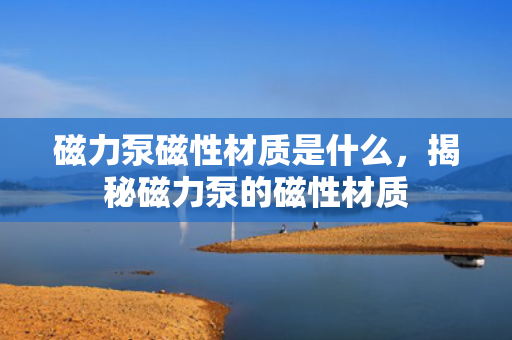 磁力泵磁性材质是什么，揭秘磁力泵的磁性材质